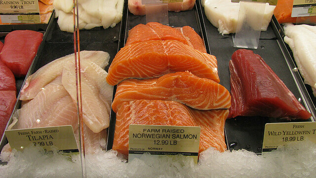 Norway's Salmon Farms: Sustainable Dream or Environmental Nightmare?